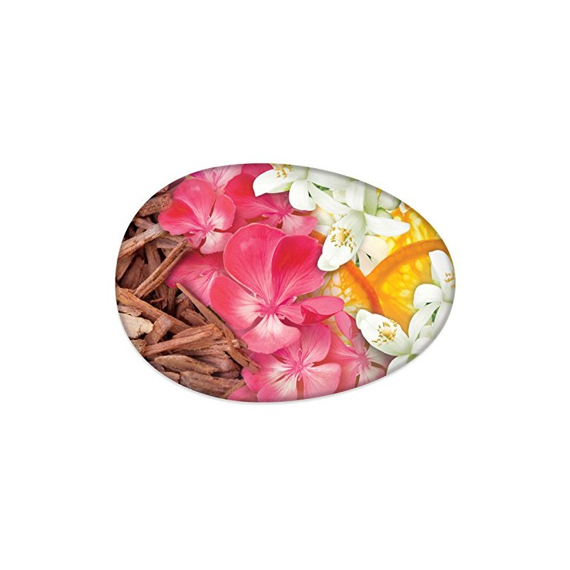 Daily Silk Beauty Bar by Caress for Unisex - 2