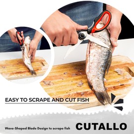 CUTALLO Cutallo Kitchen Scissors Stainless Steel Sharp Blades with Cushioned Soft TPR Grip for Easy Handling C Heavy Duty Multipurpose Scissors for Meat, Chicken, Fish, Vegetables, & Herbs C Bottle Opener