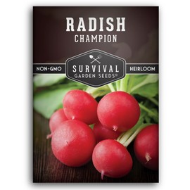 Champion Radish Seeds for Planting – Fast Growing Heirloom for Spring & Fall Gardens – Large Round Red Radishes, White Flesh – Heat & Cool Weather Hardy – Survival Garden Seeds (1 Pack)