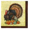 Iconikal Disposable Paper Thanksgiving Party Napkins, Harvest Turkey, Beverage Cocktail