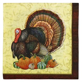Iconikal Disposable Paper Thanksgiving Party Napkins, Harvest Turkey, Beverage Cocktail Dessert Size, 80-Count