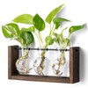 Mkono Plant Propagation Station with Wooden Stand, Wall Hanging Glass
