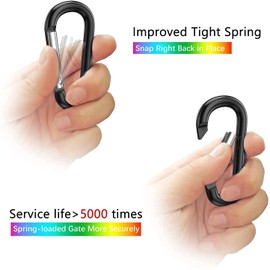 10 Pcs Carabiner Clip Spring Snap Hook - Stainless Steel Spring Snap Hook for Bird Feeders or Dog Leash & Harness, Quick Link Keychain