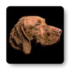 Fractal Artworks Hungarian Vizsla Coaster Set of 2, with Fractal