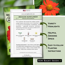 Sow Right Seeds Sow Right Seeds - Mexican Sunflower Seeds for Planting - Non-GMO Heirloom Packet with Instructions for Growing - Bright Orange Blooms, Super Tall Stalks - Enjoys Outdoors or Indoors as Cut Flower (1)