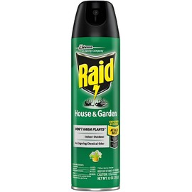 Raid House and Garden Aerosol 11 Ounce (Pack of 1)
