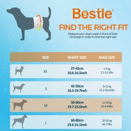 Bestle Male Dog Wrap, Disposable Dog Diapers, 40 Count, M (Waist 19.7”-23.6”), Wetness Indicator, Ultra Protection, Leak Proof, Super Absorbent, Soft
