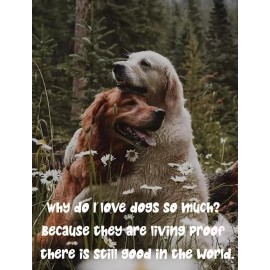 Inspirational dog refrigerator magnet    3 1/2 " x 4 1/2 "   Made in the USA