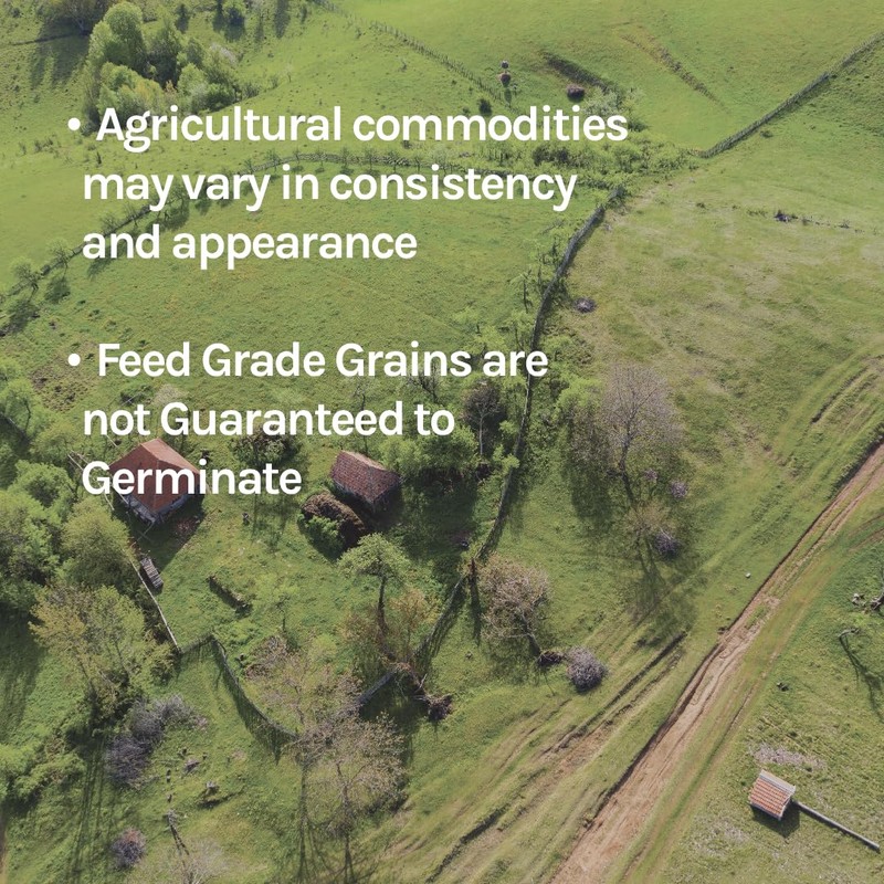 New Country Organics | Organic Oats | Certified Organic and