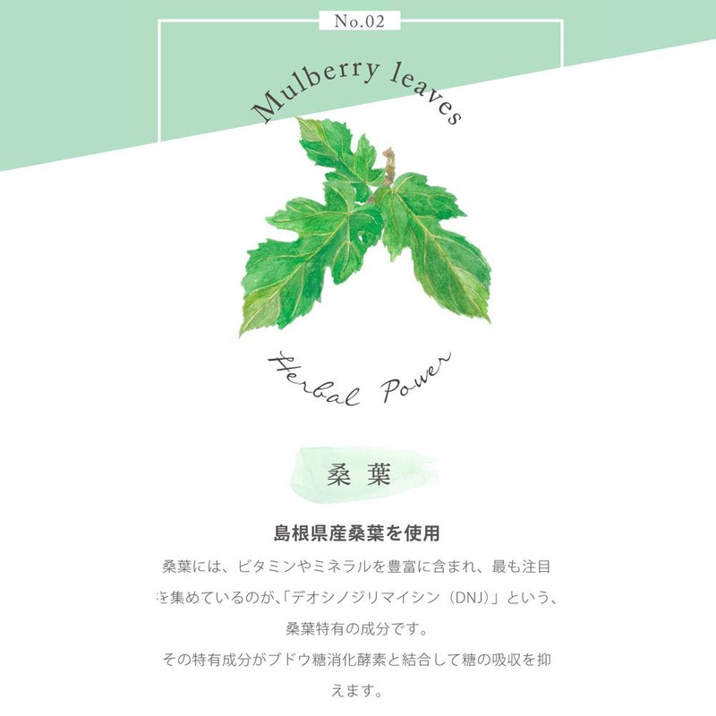 バイオサプリ ハーブスカット オリーブ葉 ヤーコン葉 桑の葉 マルチカロテノイド (90粒×2袋)