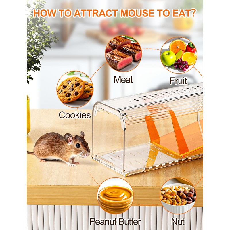 TAKRINK Live Mouse Trap, Set of 2, Animal-Friendly Mouse Trap,