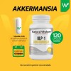 Akkermansia 120 Caps Jengibre Berberina Mejora Digestión y Metabolismo Fortalece