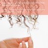 Válquer Professional Special Curl Serum, Curly Girl Method, for Curly