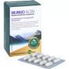 MUMIJO ALTAI capsules, 60 pcs