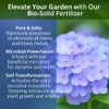 𝐁𝐄𝐒𝐓𝐒𝐄𝐋𝐋𝐄𝐑 Premium 8-4-8 Acidic Fertilizer for Hydrangea with Iron &