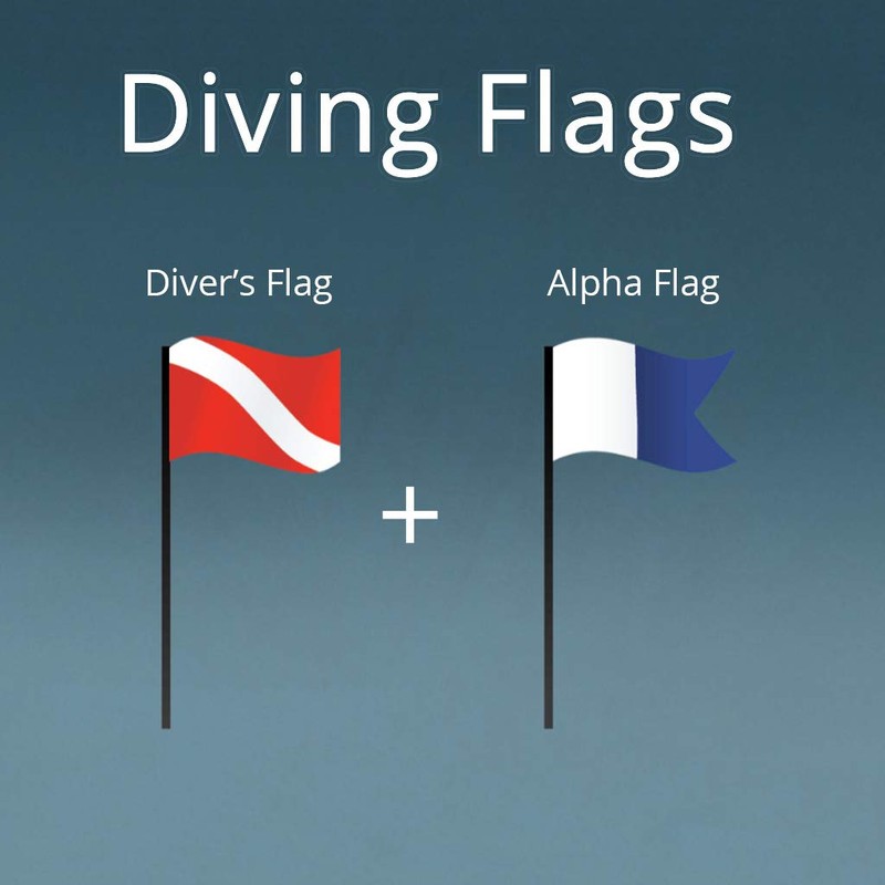 Seafard International Dive Flags - 2Pack Scuba Diver Flag (20