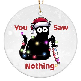 365RUSTIC Scary Black Cat Ornament, Horror Cat Christmas Ornaments, Funny Cat Christmas Decorations, Scary Cat Gifts, Ceramic Ornament for Cat Lover Ornament