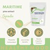 Maritime Pine Bark 100mg Veg Capsules – Antioxidant Supplement for