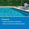 In The Swim pH Reducer for Swimming Pools, Spas, and