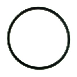 Can-Am New OEM Spyder Gearbox Housing Assembly Rubber O-Ring, 420831160