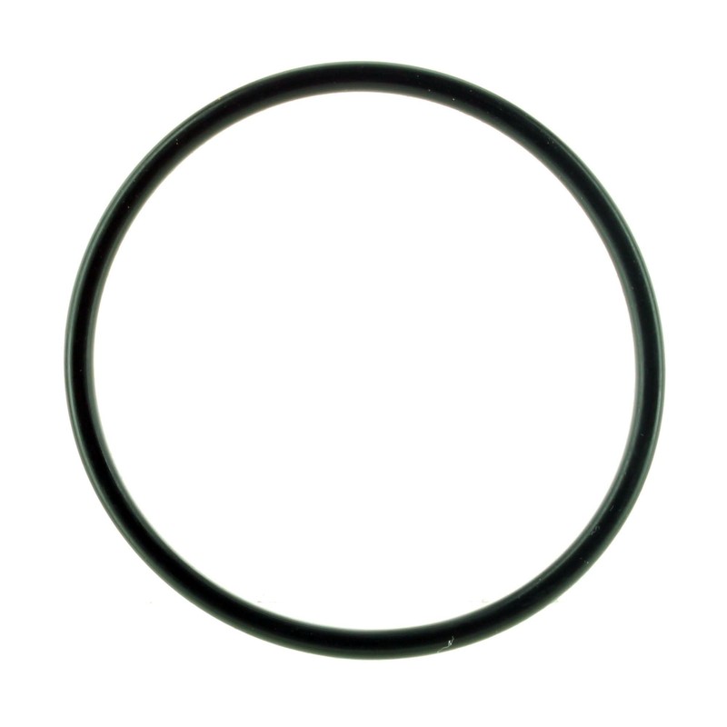 Can-Am New OEM Spyder Gearbox Housing Assembly Rubber O-Ring, 420831160