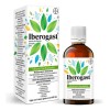 Iberogast Medicina Herbolaria Colitis Y Gastritis 100 Ml