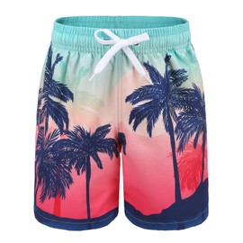 Aisyee Boys Swim Trunks Beach Swim Shorts Quick Dry Boards Shorts for Kids with 3D Prints Swimwear Coconut Size 6/6X Years