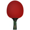 Swiftflyte Premier Table Tennis Racket, High Performance Ping Pong Paddle,