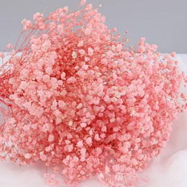 17.2 Inch Dried Flowers Baby's Breath Bouquet - 2500+ Dry Flowers,Natural Gypsophila Branches for Home Decor, Wedding, Table Decor, DIY Wreath Floral, Dry Flowers Bulk for Vase (Pink)