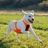 Browning Pet Hi-Vis Safety Vest for Dogs, Safety Orange, Large,