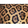 Ravensburger Puzzle 12000586 Animal Print 1000 Pieces Puzzle for Adults
