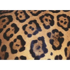 Ravensburger Puzzle 12000586 Animal Print 1000 Pieces Puzzle for Adults and Children from 14 Years, Difficult Puzzle