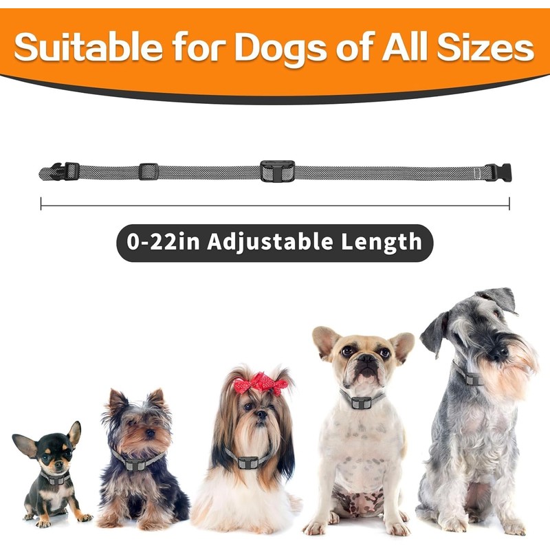 Tiniest Dog Shock Collar for 2 Dogs, Lightest Dog Training