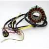 Soarider Magneto Stator Replacement for Polaris ATP 500 2005 3089249