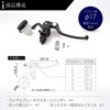 Daytona Master Cylinder for Motorcycles, Brake, Radial, Vertical Type φ6.7