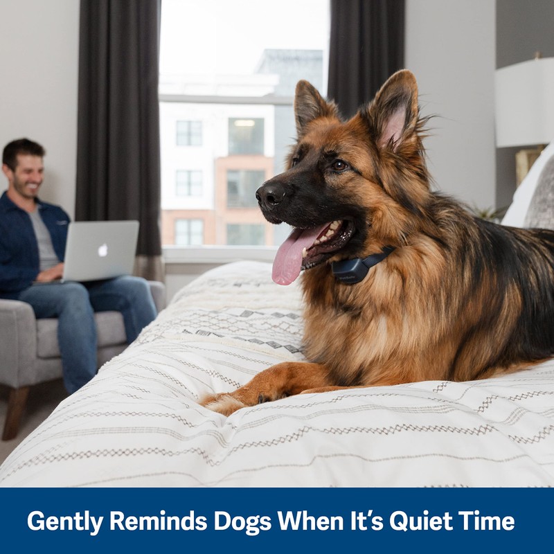 PetSafe Audible Bark Collar Navy