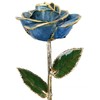 24k Gold Rose - Real Rose Dipped in Gold (Light