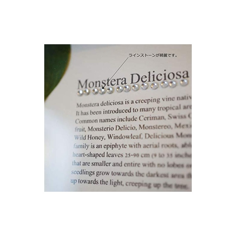 Leaf Panel Monstera II Plaque Horizontal (Brown) Leaf Frame Panel