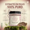 COMMONS Hongos Adaptógenos Hongo Cola de Pavo Extracto en Polvo
