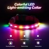 RUXAN Light Up Dog Collar,Dog Lights for Night Walking,LED Collars