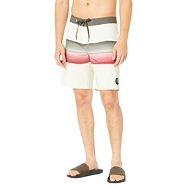 Quiksilver Men's Standard Surfsilk Resin Tint 19 Boardshort Swim Trunk Bathing Suit, Birch, 29