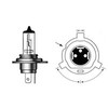 M & H Pine Maxima 12 V60/W Halogen Bulbs (100/W