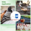 Pipeline Automatic Chicken Waterer System, Automatic Chicken Watering Complete PVC