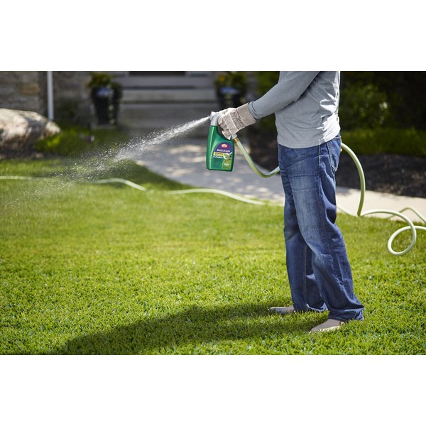 Ortho Weed B Gon Weed Killer for St. Augustinegrass Ready-To-Spray, 32 oz
