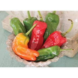 Southeast Seeds Cubanelle Sweet Pepper Seeds, NON-GMO, Variety Sizes, FREE SHIPPING - 1000 Seeds or 1/4 OZ