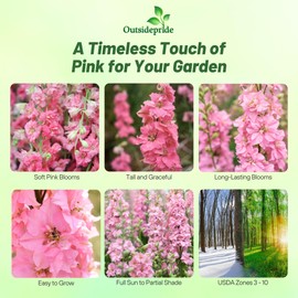 Outsidepride Delphinium Pink Larkspur Seeds for Planting Outdoors - 1000 Pcs Annual, Self-Seeding, Heat & Drought Tolerant Wildflower Seeds, Colorful Blooms for Flower Arrangement & Pollinator Garden