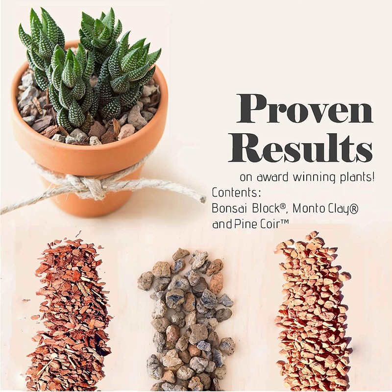 Bonsai Jack Succulent, Cactus and Bonsai Soil - Jacks Gritty