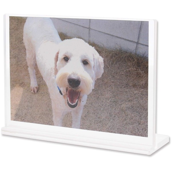 Hisumi Polytech Acrylic Photo Frame, L Size, Clear