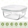 Small Glass Containers with Lids Square, 3 Cup Borosilicate Glass