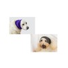 DDFS Dog Ear Hematoma, (2 Pack) Ear Wrap Soothing Dog